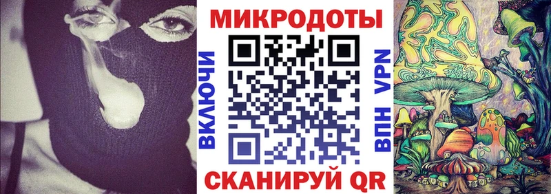 Галлюциногенные грибы Psilocybe что такое Семёнов